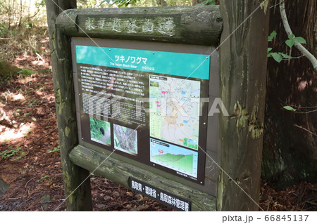 氷ノ山で撮影（兵庫県、鳥取県） 66845137
