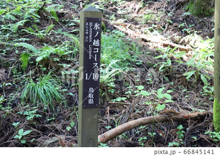 氷ノ山で撮影（兵庫県、鳥取県） 66845141