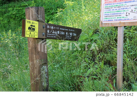 氷ノ山で撮影(兵庫県、鳥取県) 氷ノ山で撮影(兵庫県、鳥取県) 66845142