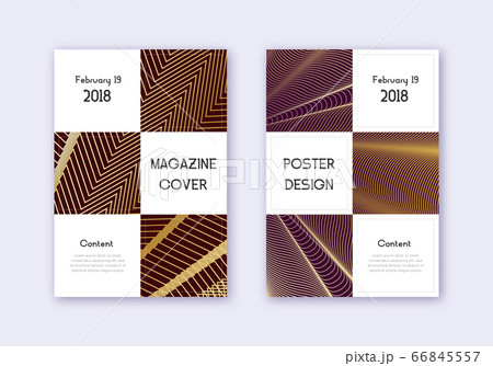 Business cover design template set. Gold abstract  66845557
