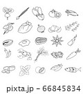 Vector illustration set of Asian food ingredient isolated outline on white background. 66845834