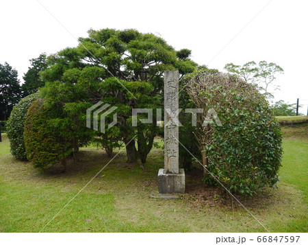 山中城跡公園 山中城跡公園 66847597