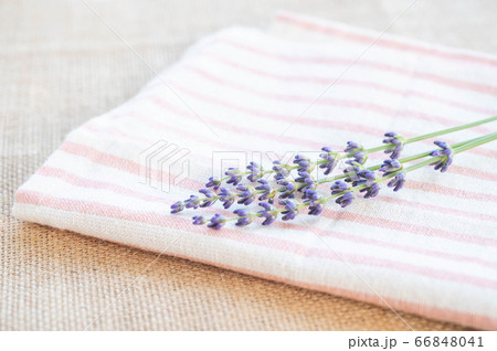 布とラベンダーの花 布とラベンダーの花 66848041