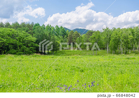 開田高原　初夏 66848042