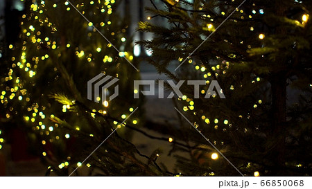 Cute little Christmas trees decorated blurry yellow luminous garlands on Christmas market stalls background Cute little Christmas trees decorated blurry yellow luminous garlands on Christmas market stalls background 66850068