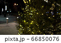 Magic yellow blurry lights of garlands on Christmas trees at fair 66850076