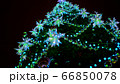 Close up large luminous multi-pointed blue stars and yellow balls decoration on Christmas tree at Christmas market square 66850078