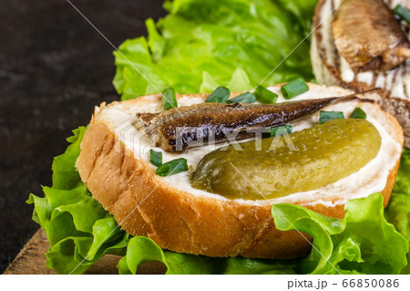 Sandwiches made of sprots and cucumbers on lettuce Sandwiches made of sprots and cucumbers on lettuce 66850086