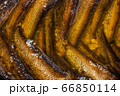 Sprots in the macro bank 66850114