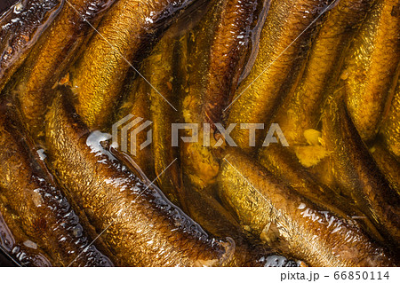 Sprots in the macro bank 66850114