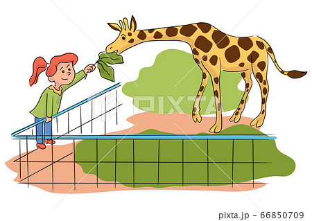 Cartoon Little Girl Feeding Giraffe At Contact Zoo Stock Illustration