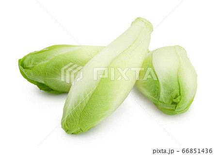Chicory salad isolated on white background with clipping path and full depth of field. Chicory salad isolated on white background with clipping path and full depth of field. 66851436