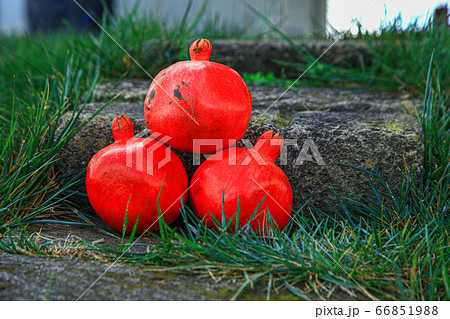 Pomegranates across green grass on the stone Pomegranates across green grass on the stone 66851988