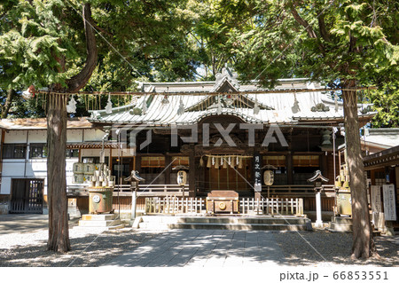 調神社 調神社 66853551