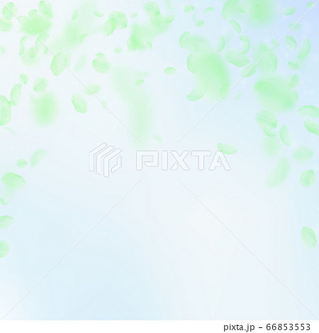 Green flower petals falling down. Wondrous romanti 66853553