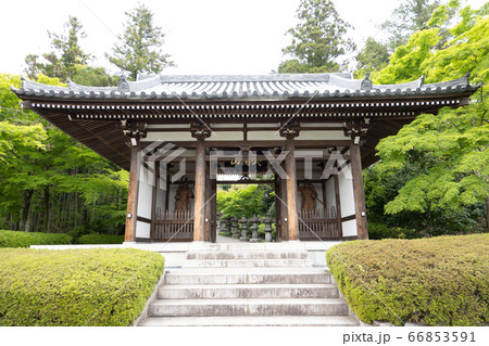 能仁寺 山門の写真素材