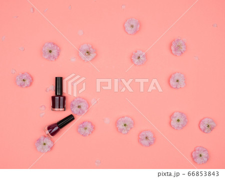 Pink cherry blossoms and nail polishes on pink background. Pink cherry blossoms and nail polishes on pink background. 66853843
