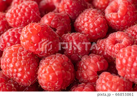 raspberry background, top view raspberry 66853861