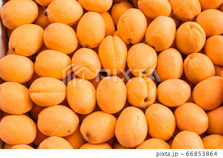 fresh ripe apricot top view on the market 66853864