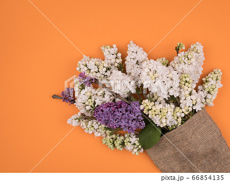 Bouquet of lilac in a sack of burlap. Orange background. 66854135