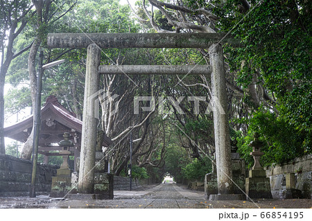 酒列磯前神社の樹叢 66854195
