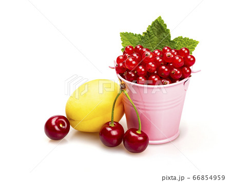 Ripe red currants with green leaves in a pink bucket on a white background. Near apricot and cherries. 66854959