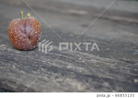 A spoiled forgotten apple lies on a gray wooden background A spoiled forgotten apple lies on a gray wooden background 66855135