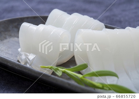 イカの刺身 イカの刺身 66855720