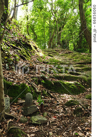 熊野古道 藤白坂 【和歌山県海南市】 熊野古道 藤白坂 【和歌山県海南市】 66856060