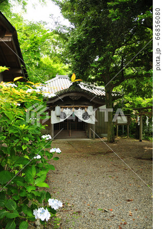 藤白神社(権現堂)  【和歌山県海南市】　 66856080