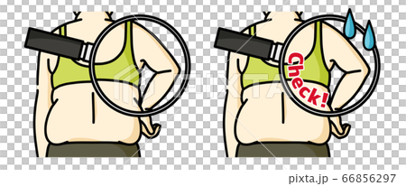 肥満の女性の二の腕と背中-クローズアップ 肥満の女性の二の腕と背中-クローズアップ 66856297