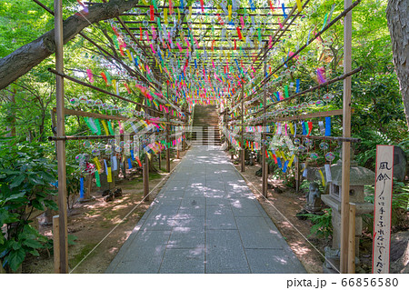如意輪寺(かえる寺)福岡県小郡市横隈1728 如意輪寺(かえる寺)福岡県小郡市横隈1728 66856580