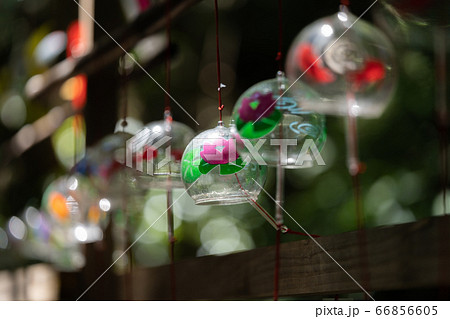 如意輪寺(かえる寺)福岡県小郡市横隈1728 如意輪寺(かえる寺)福岡県小郡市横隈1728 66856605