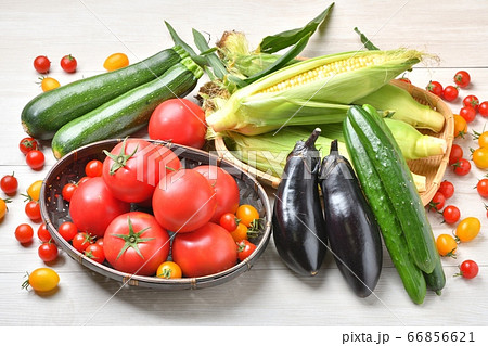 注意）野菜や背景に小ゴミが残ります。夏野菜いっぱいイメージ。野菜集合写真、食材イメージ、生鮮新鮮野菜 66856621
