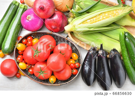 注意）野菜や背景に小ゴミが残ります。夏野菜いっぱいイメージ。野菜集合写真、食材イメージ、生鮮新鮮野菜 66856630