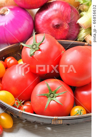 注意)野菜や背景に小ゴミが残ります。夏野菜いっぱいイメージ。野菜集合写真、食材イメージ、生鮮新鮮野菜 注意)野菜や背景に小ゴミが残ります。夏野菜いっぱいイメージ。野菜集合写真、食材イメージ、生鮮新鮮野菜 66856632