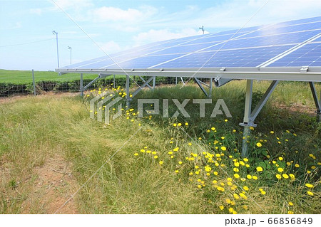 雑草が生い茂った太陽光発電所 雑草が生い茂った太陽光発電所 66856849