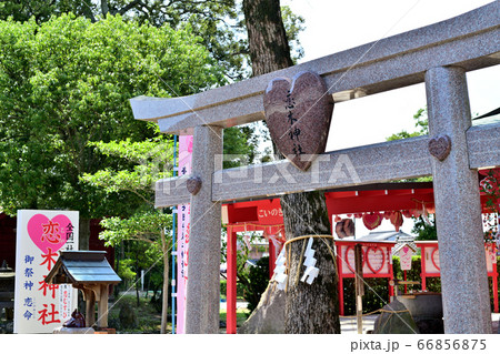 筑後市 恋木神社 筑後市 恋木神社 66856875
