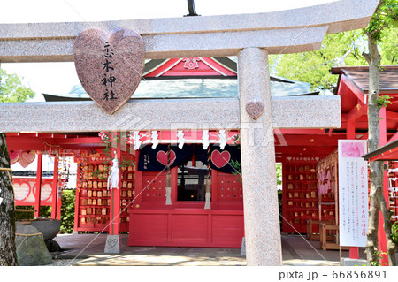筑後市　恋木神社 66856891