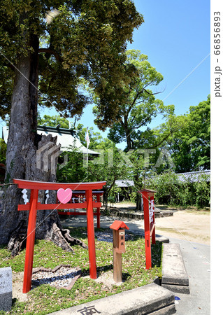 筑後市 恋木神社 筑後市 恋木神社 66856893