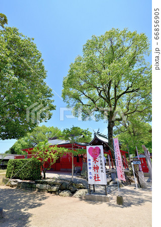筑後市 恋木神社 筑後市 恋木神社 66856905