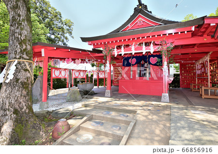 筑後市　恋木神社 66856916