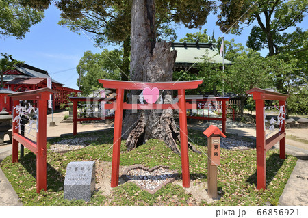 筑後市　恋木神社 66856921