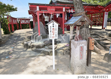 筑後市 恋木神社 筑後市 恋木神社 66856925