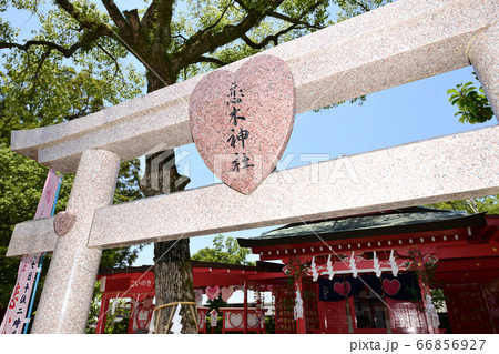 筑後市 恋木神社 筑後市 恋木神社 66856927