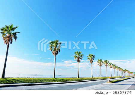 千葉県 青空の千葉フォルニア 千葉県 青空の千葉フォルニア 66857374