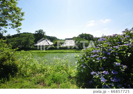 高天寺橋本院 66857725