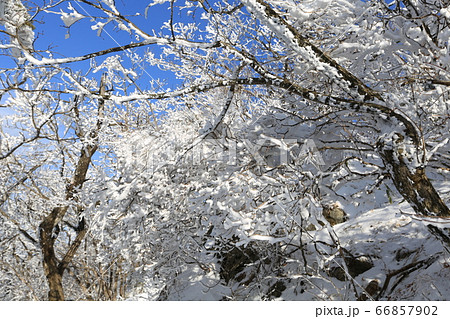 韓国 居昌郡 全北 66857902