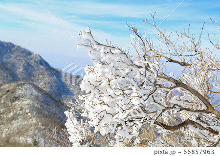韓国 居昌郡 全北 66857963