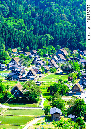 初夏の白川郷（昼） 66858237